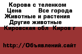 Корова с теленком › Цена ­ 69 - Все города Животные и растения » Другие животные   . Кировская обл.,Киров г.